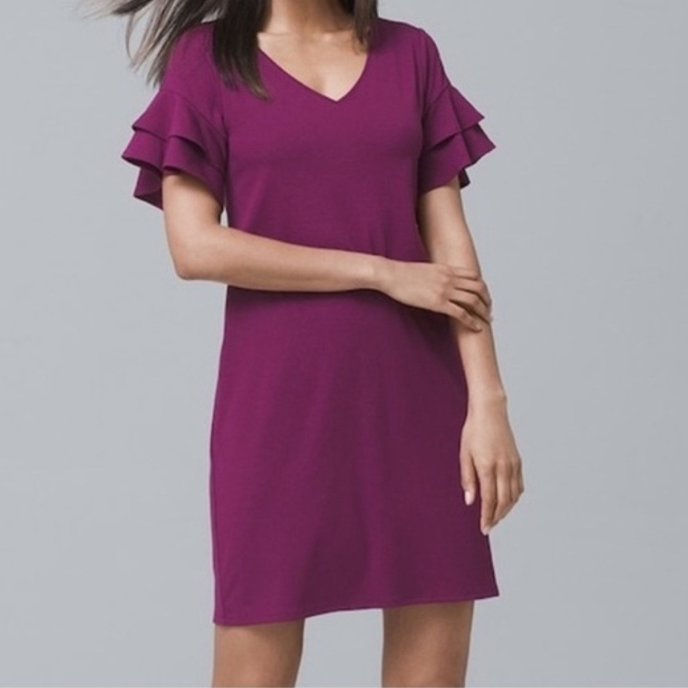 White House Black Market Ruffle Sleeve Plum Mini Dress Size Medium